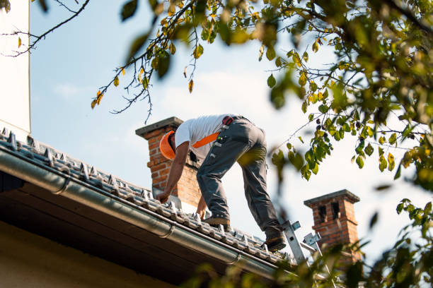 Best Metal Roofing Contractor  in Twin Lakes, CA