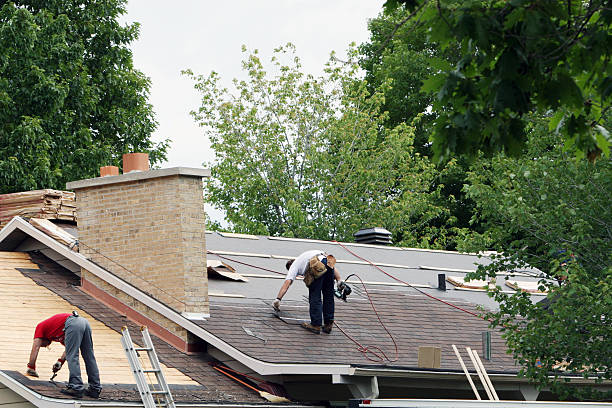 Best Roof Gutter Cleaning  in Twin Lakes, CA